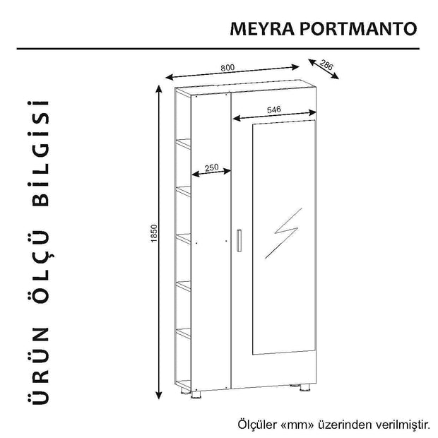 Armadio da ingresso con 1 anta e specchio Meyra Noce (5)