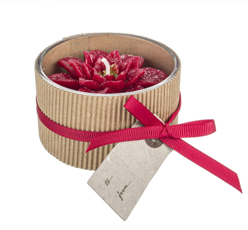 Bizzotto Candela profumata Poinsettia Rosso