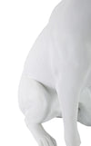 Mauro Ferretti Cane C/Corona Bianco cm 20x12,5x33