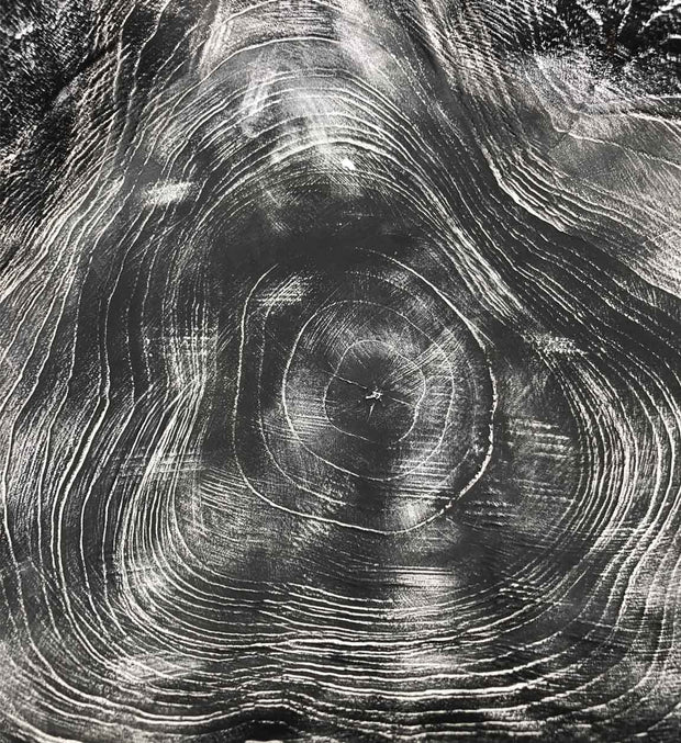 Moycor Ciotola decorativa Erosi Nero