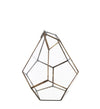 Moycor Cofanetto decorative Abstract II Trasparente