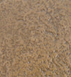 Moycor Cofanetto decorative Antique Square Nero