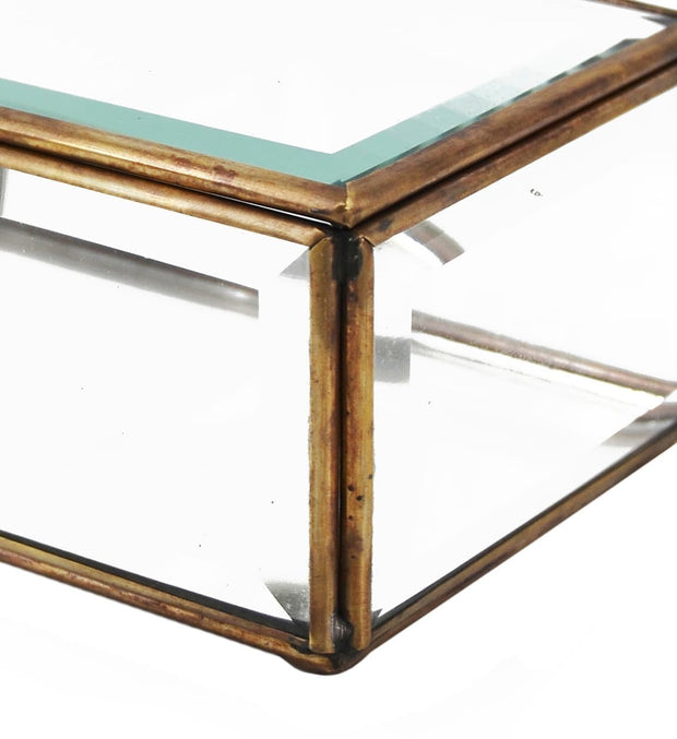 Moycor Cofanetto decorative Box Piccola Trasparente