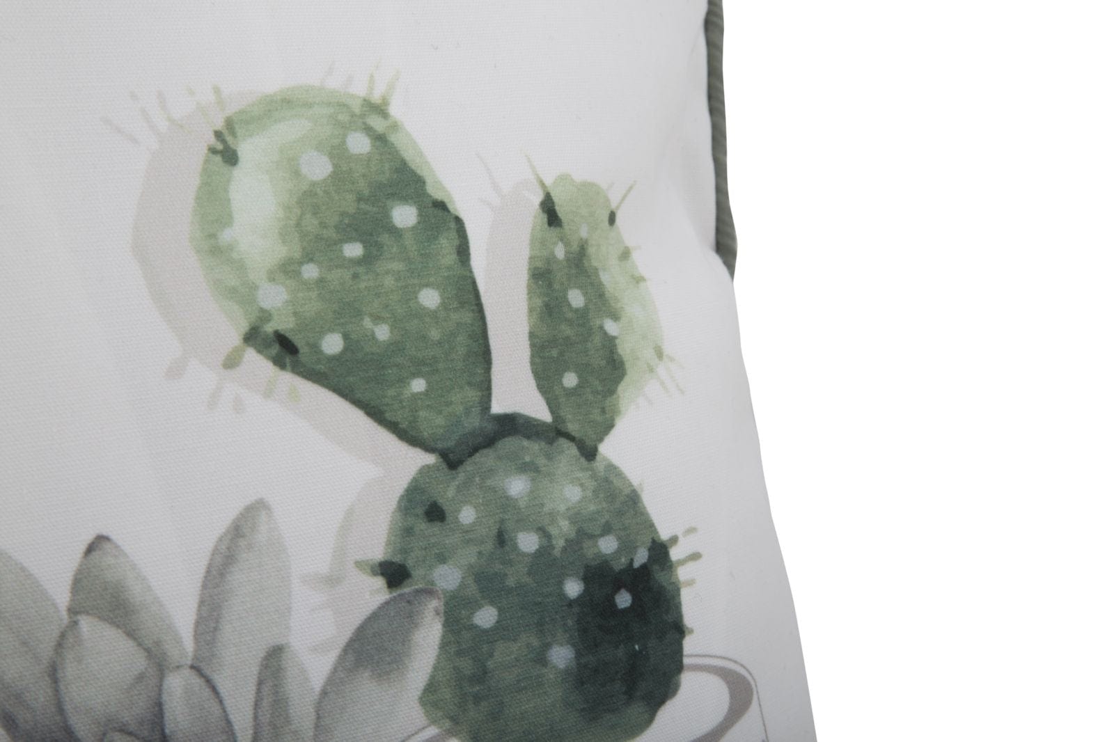 Mauro Ferretti Cuscino Cactus -A- cm 45x45