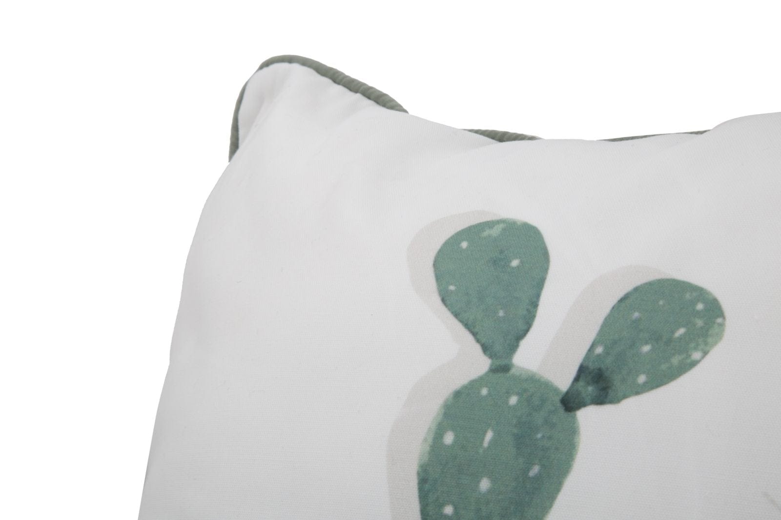 Mauro Ferretti Cuscino Cactus -A- cm 45x45