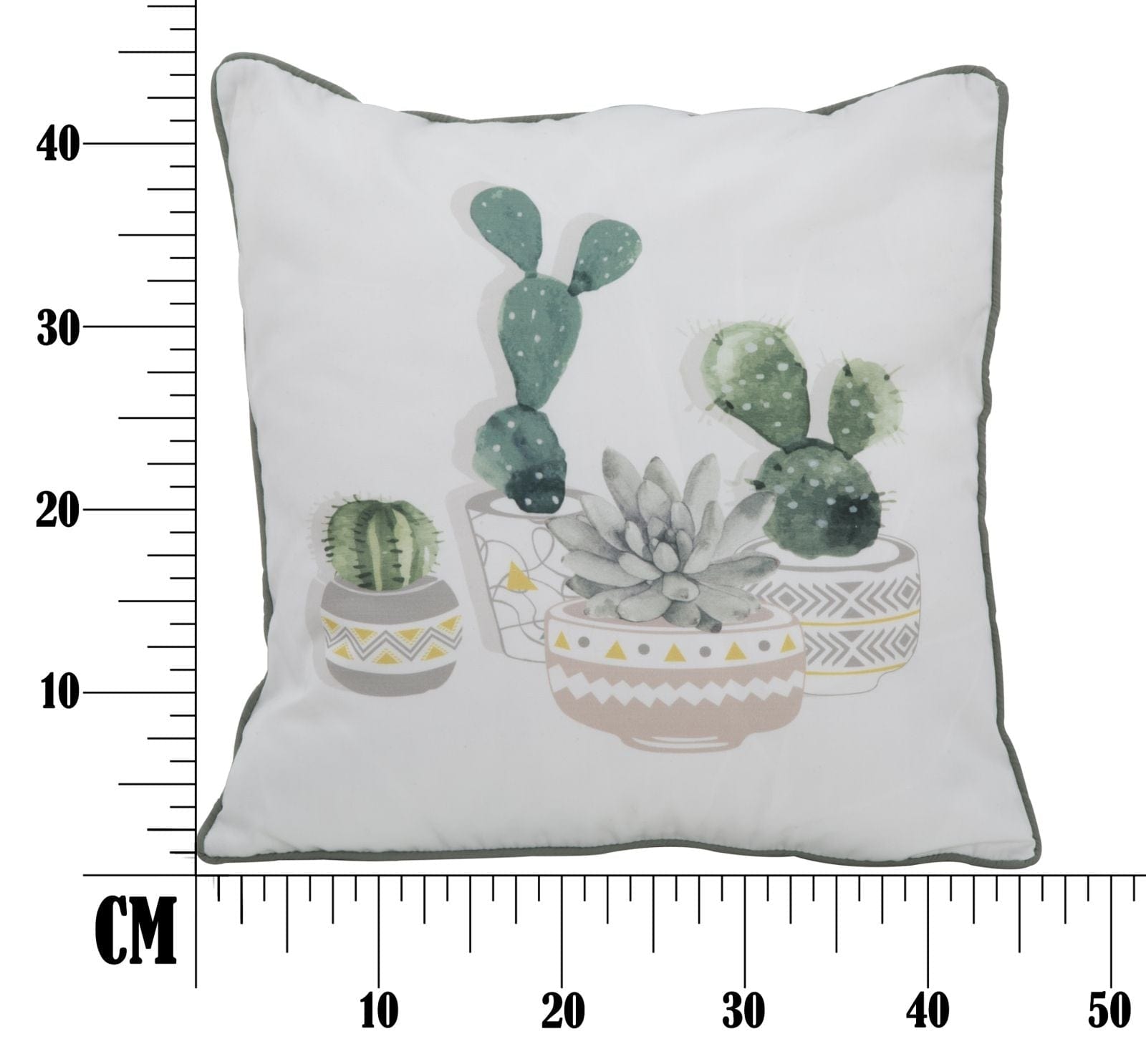 Mauro Ferretti Cuscino Cactus -A- cm 45x45