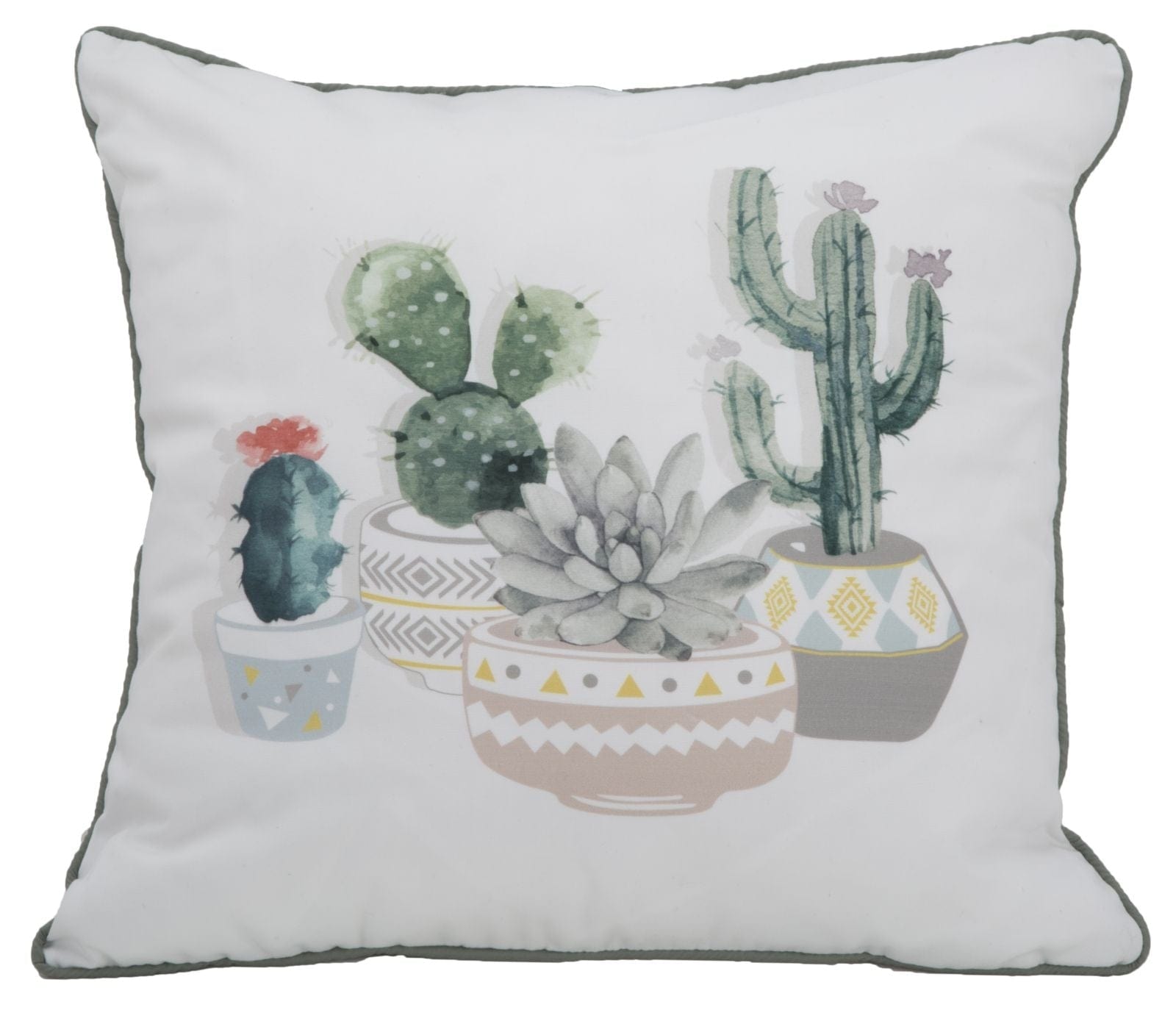 Mauro Ferretti Cuscino Cactus -B- cm 45x45