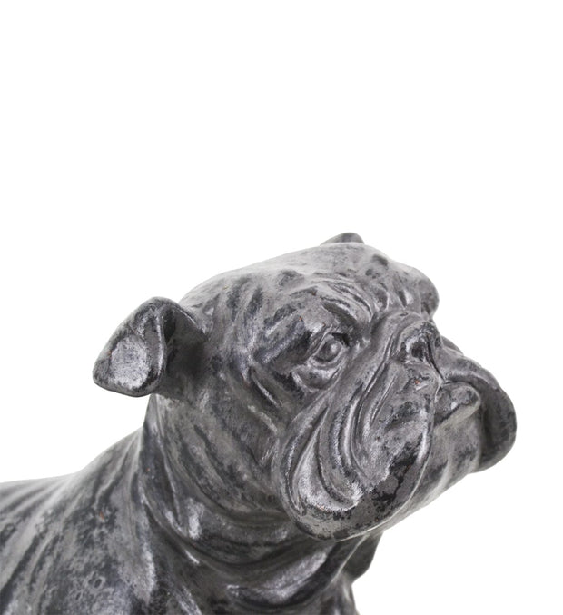 Moycor Decorazione Bulldog Grigio
