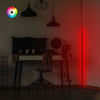 Asir Decorazione con illuminazione Lumos Multicolore