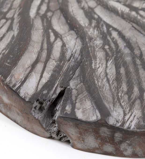 Moycor Decorazione da parete Marine Marrone