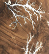 Moycor Decorazione da parete Teak Round Naturale