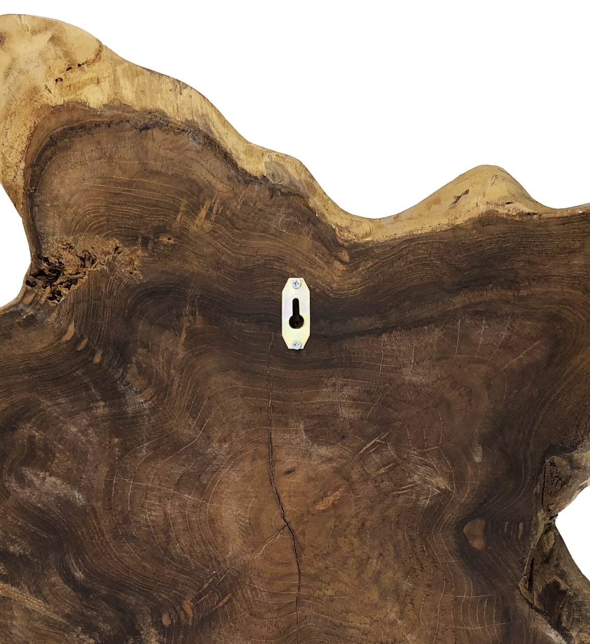 Decorazione da parete Trunk Big Naturale (1)