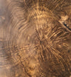 Decorazione da parete Trunk Big Naturale (4)