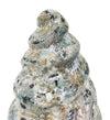 Moycor Decorazione Ethnic Conch Multicolore