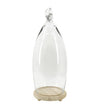 Moycor Decorazione Smith Knot Trasparente