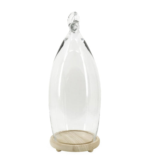 Moycor Decorazione Smith Knot Trasparente