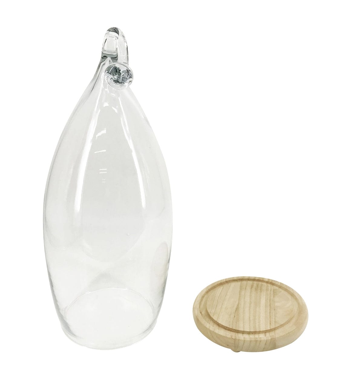 Moycor Decorazione Smith Knot Trasparente