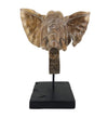 Moycor Decorazione Teak Elephant Head Naturale