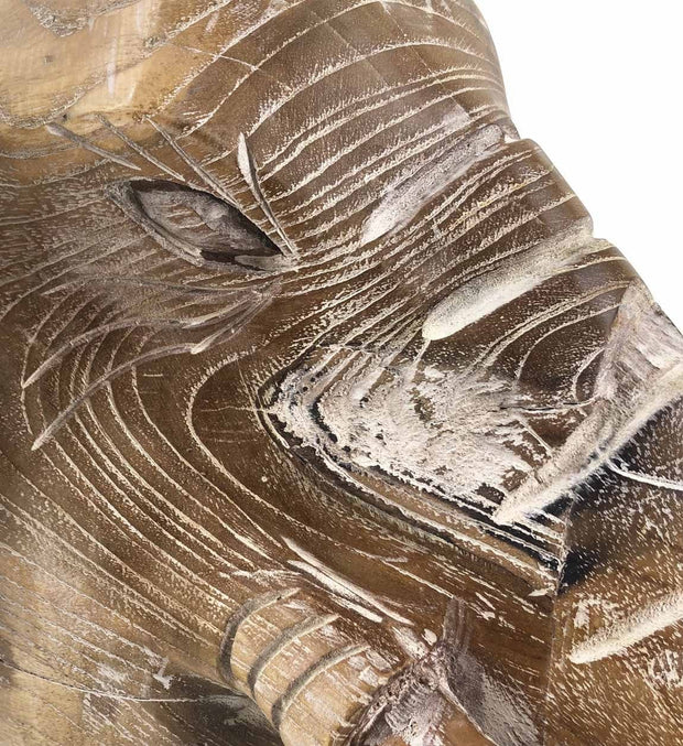 Moycor Decorazione Teak Elephant Head Naturale