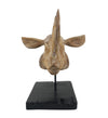 Moycor Decorazione Teak Rhinoceros Head Naturale
