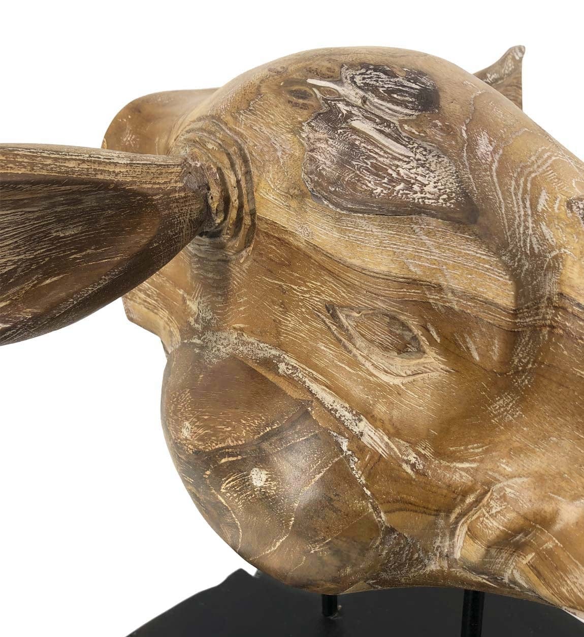 Moycor Decorazione Teak Rhinoceros Head Naturale