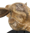 Moycor Decorazione Teak Rhinoceros Head Naturale