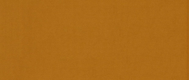 ELTMPL-CORNER-DORADO-RIGHT
