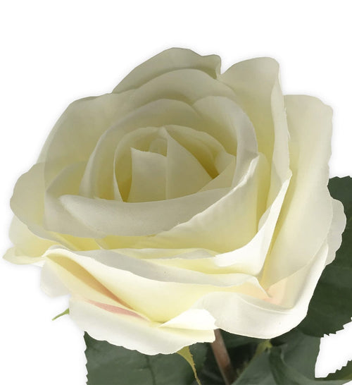 Moycor Filo di fiori artificiali Grace Bianco