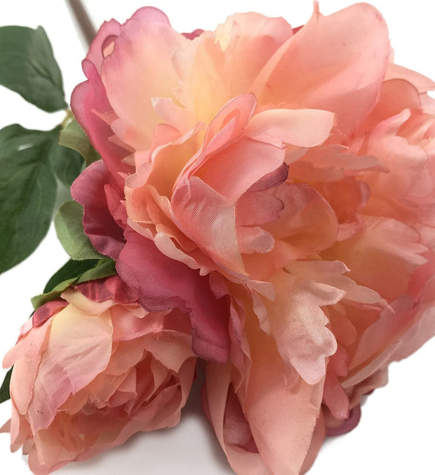 Moycor Filo di fiori artificiali Grace Peony Rosa
