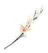 Moycor Filo di fiori artificiali Magnolia Golden Rosa Crema