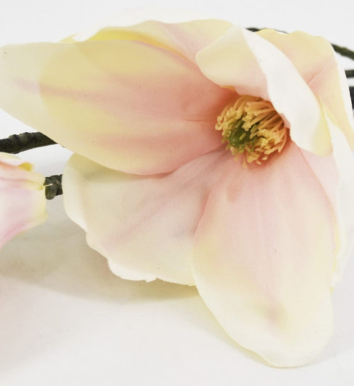 Moycor Filo di fiori artificiali Magnolia Golden Rosa Crema