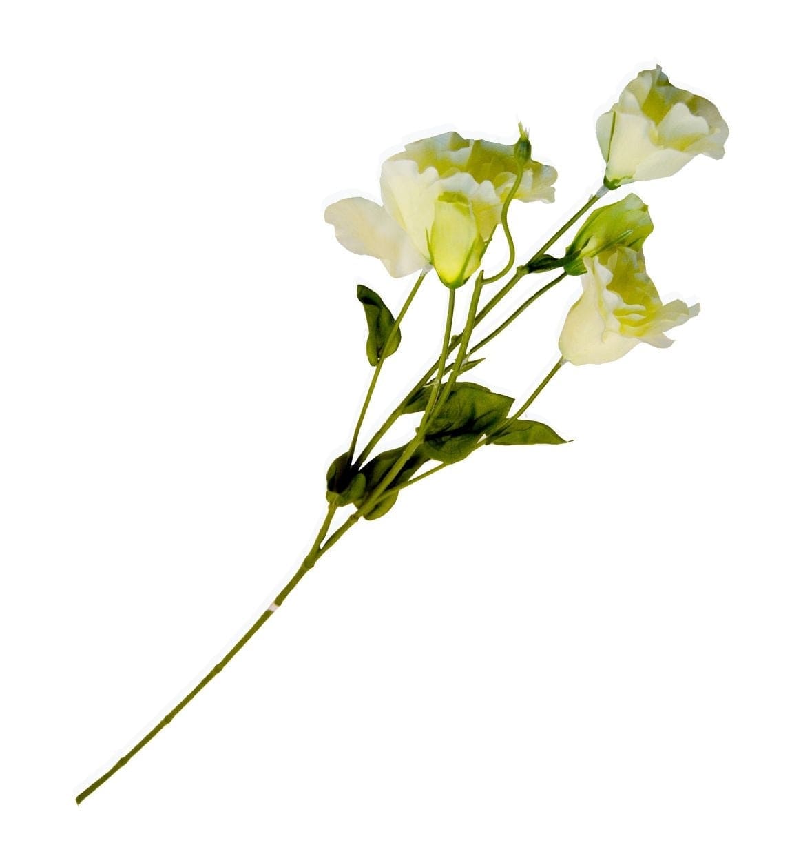 Moycor Filo di fiori artificiali Spring Bianco