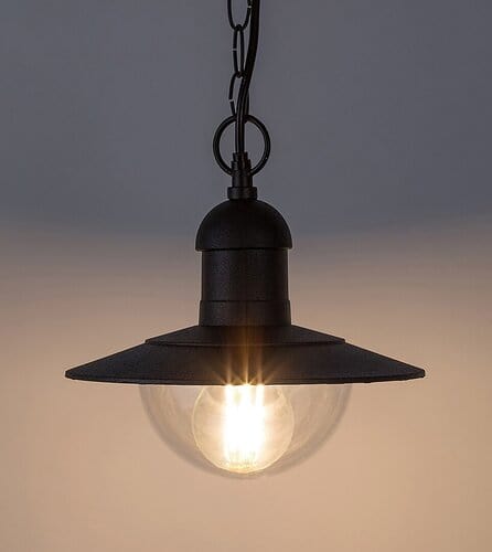 RabaLux Lampada a sospensione da esterno Oslo 8717 Nero