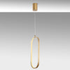 Asir Lampada Can 13561 Oro