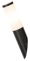 RabaLux Lampada da parete Black Torch 8145 Nero