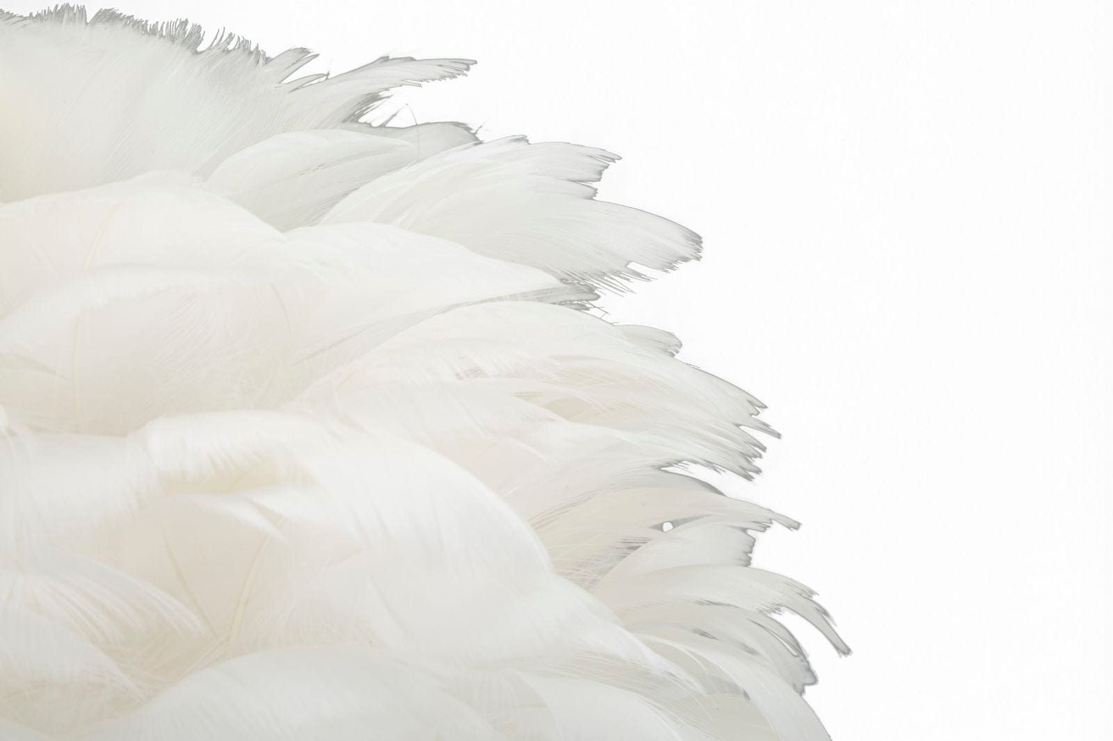 Mauro Ferretti Lampada da tavalo Ball Feather Oro