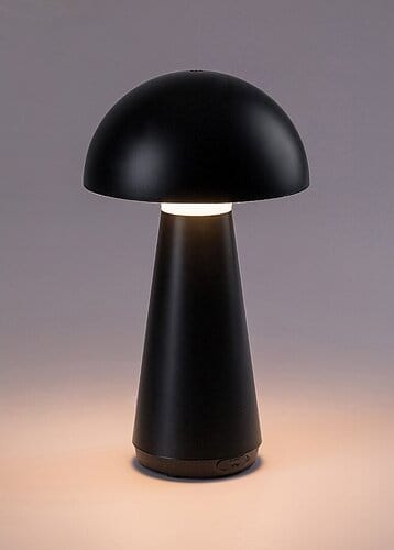RabaLux Lampada da tavalo Ishtar 76007 Nero