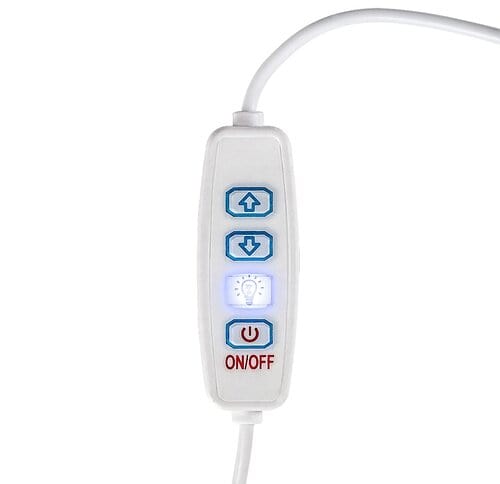 RabaLux Lampada da tavalo Pirit 76003 Faggio