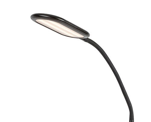 RabaLux Lampada da terra Adelmo 74009 Nero