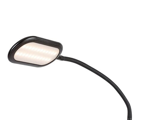 RabaLux Lampada da terra Adelmo 74009 Nero