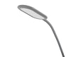 RabaLux Lampada da terra Adelmo 74010 Grigio