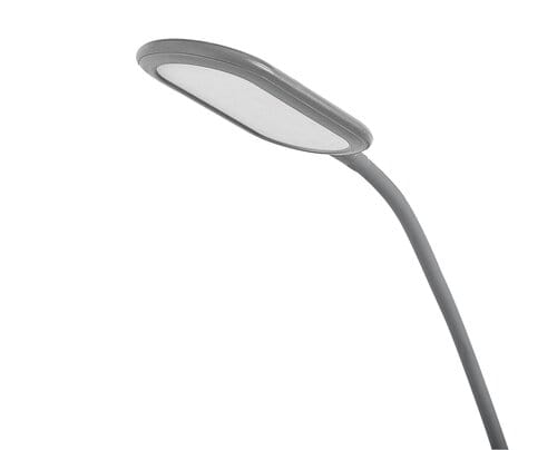 RabaLux Lampada da terra Adelmo 74010 Grigio