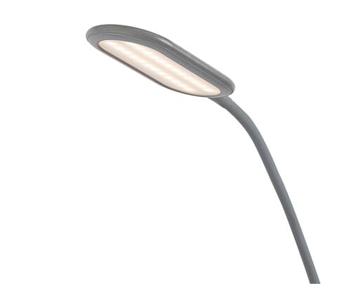 RabaLux Lampada da terra Adelmo 74010 Grigio