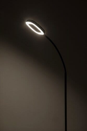 RabaLux Lampada da terra Rader 74004 Nero