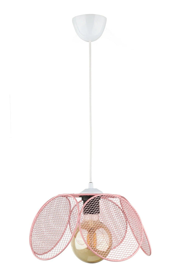 Oyo Lampada Darvin Rosa
