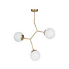 Oyo Lampada Dna Oro