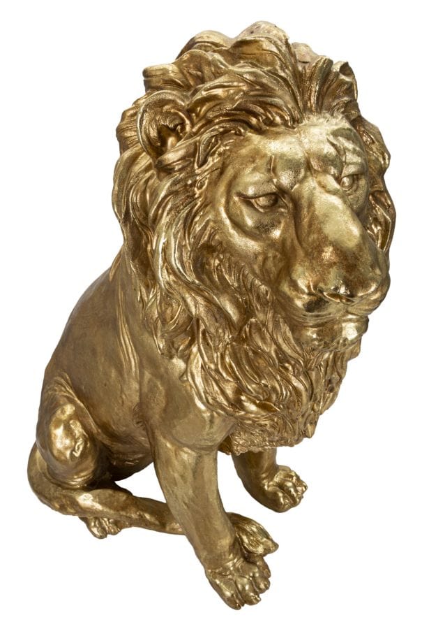Leone Gold cm 67x36,5x80 (3)