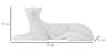 Leopardo Sdraiato Bianco cm 38x12,5x15,3 (6)