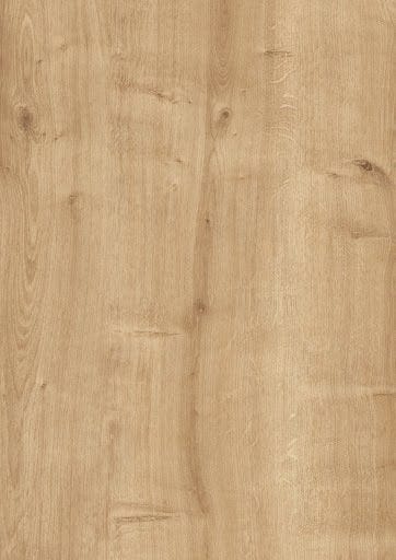 Libreria Fort Quercia (3)