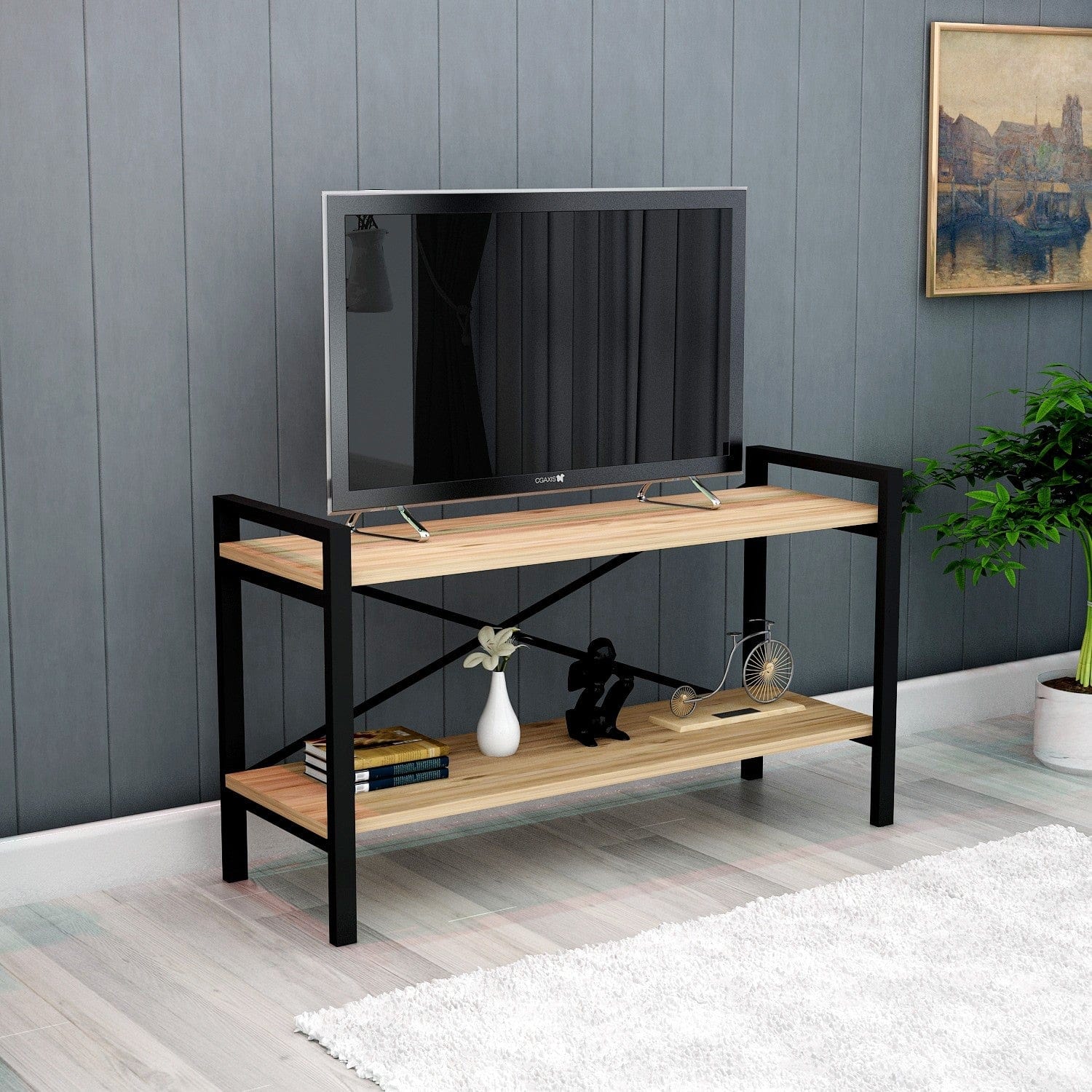 Mobile TV Athena V1 Pino (2)
